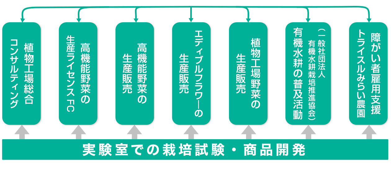 アグリ事業部では、多岐に渡る植物工場事業を行っています。