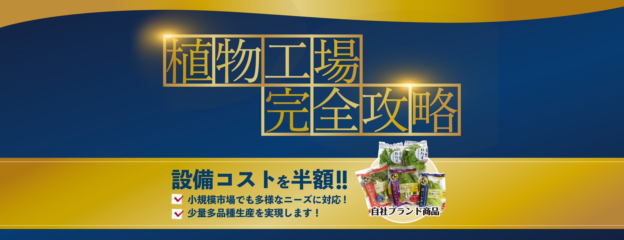 植物工場　完全攻略〜設備コストを半額に！小・中規模でも勝ち残れる植物工場を実現！！〜