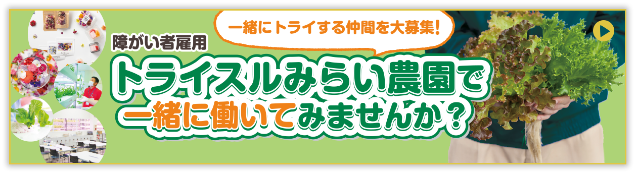 トライスルみらい農園