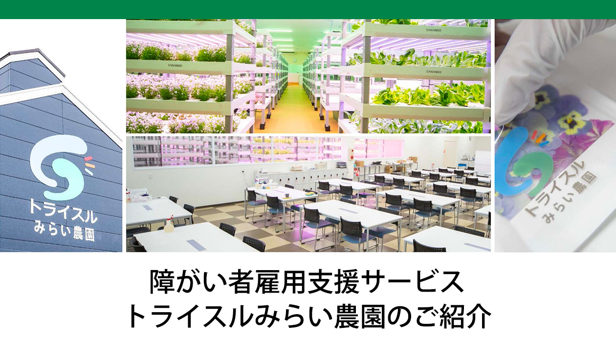 障がい者雇用支援サービス　トライスルみらい農園 倉敷のご紹介（旭テクノプラント株式会社/アグリ事業部）