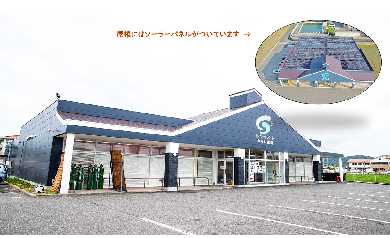 トライスルみらい農園倉敷の屋根にはソーラーパネルもついています！こちらの建物（農園）にて就業。