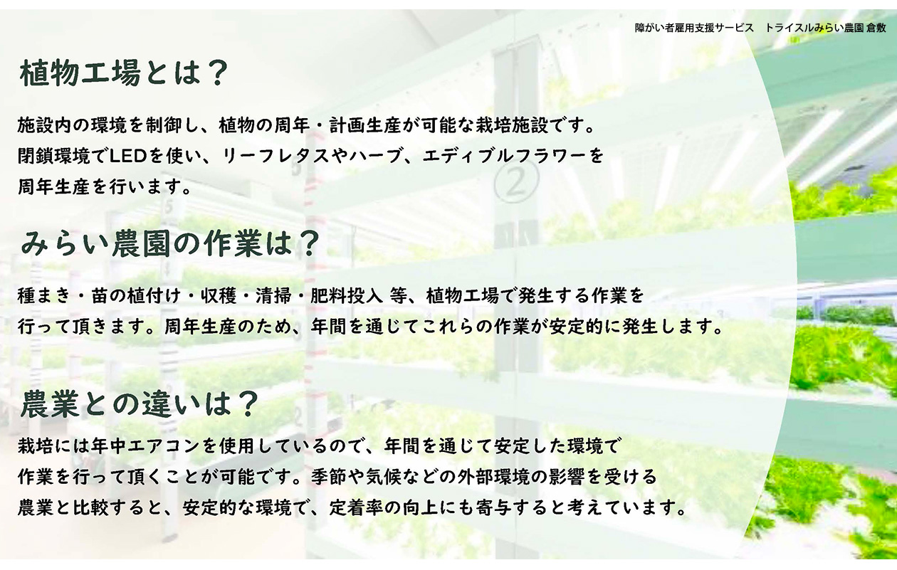 【植物工場とは？】施設内の環境を制御し、植物の周年・計画生産が可能な栽培施設です。閉鎖環境でLEDを使い、リーフレタスやハーブ、エディブルフラワーを周年生産を行います。【みらい農園の作業は？】種まき・苗の植付け・収穫・清掃・肥料投入 等、植物工場で発生する作業を行っていただきます。周年生産のため、年間を通じてこれらの作業が安定的に発生します。【農業との違いは？】栽培には年中エアコンを使用しているので、年間を通じて安定した環境で作業を行っていただくことが可能です。季節や気候などの外部環境の影響を受ける農業と比較すると、安定的な環境で、定着率の向上にも寄与すると考えています。