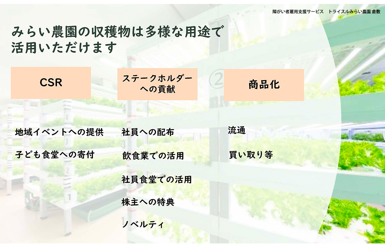トライスルみらい農園の収穫物は多様な用途で活用いただけます！【CSR】地域イベントへの提供・子ども食堂への寄付【ステークホルダーへの貢献】社員への配布・飲食業での活用・社員食堂での活用・株主への特典・ノベルティ【商品化】流通・買取　等