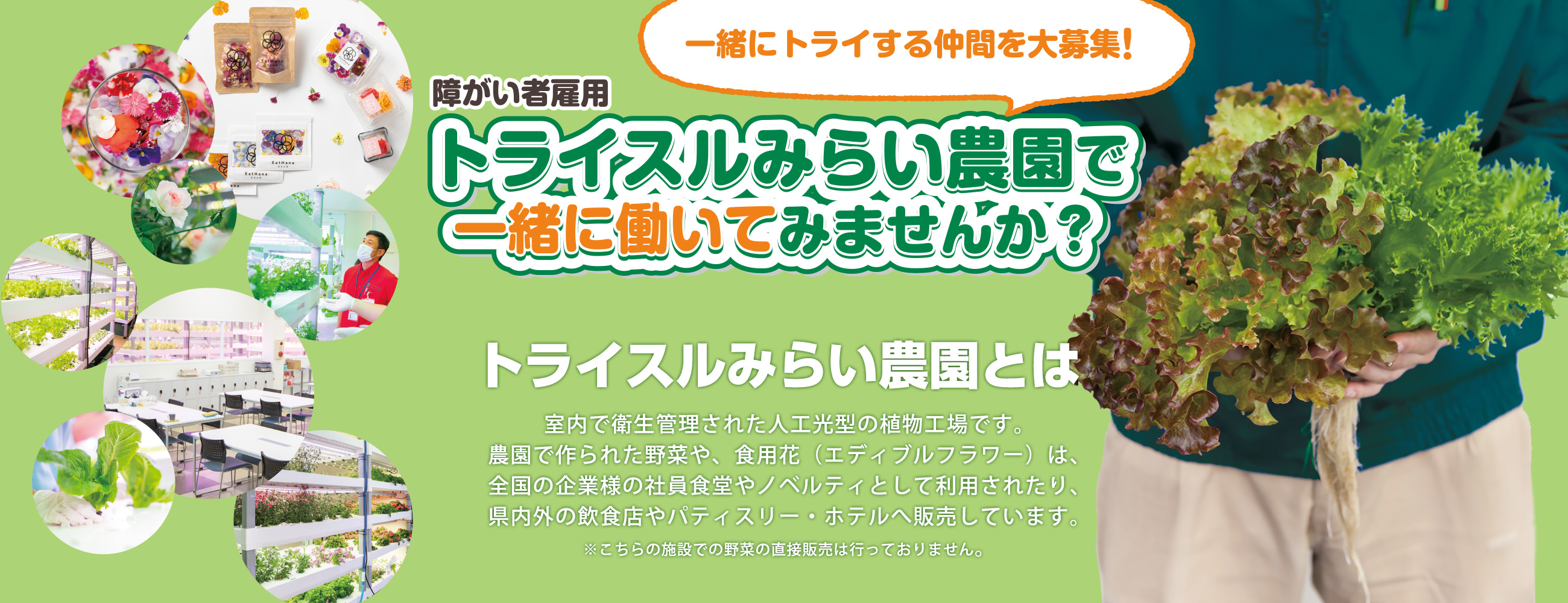 アグリ事業部カンパニー/トライスルみらい農園　障がい者雇用　一緒に働いてみませんか？仲間を大募集！