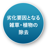 劣化要因となる雑草・植物の除去