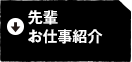 先輩・お仕事紹介