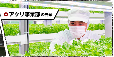 アグリ事業部の先輩