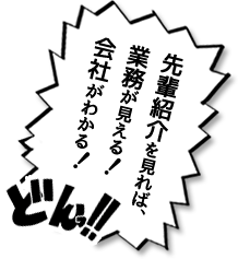 先輩紹介を見れば、業務が見える！会社がわかる！どんっ！！