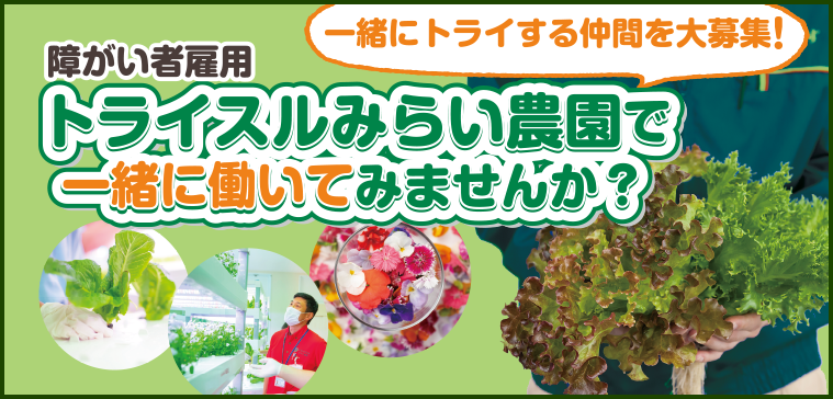 トライスルみらい農園　植物工場　障がい者雇用　一緒に
				働いてみませんか？